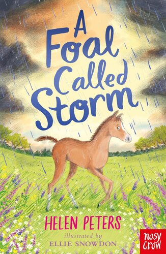 A Foal Called Storm Helen Peters