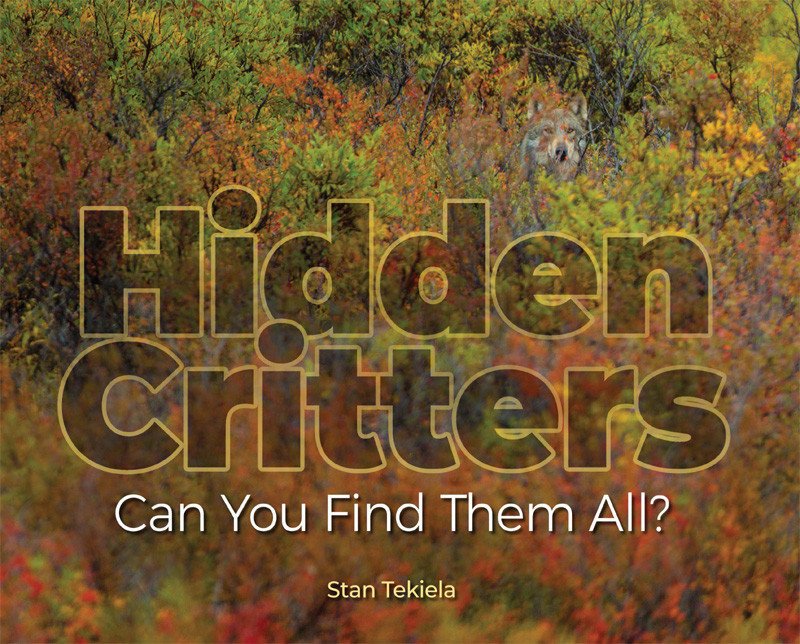 Hidden Critters Can You Find Them All Stan Tekiela