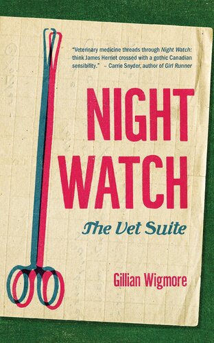 Night Watch The Vet Suite Gillian Wigmore