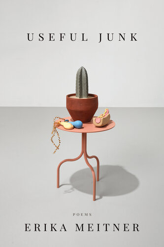 Useful Junk Erika Meitner