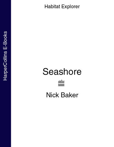 Seashore Habitat Explorer Nick Baker