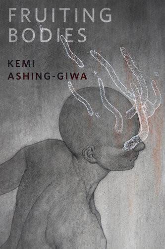Fruiting Bodies 1st Edition Kemi Ashinggiwa