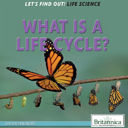 What Is A Life Cycle Louise Spilsbury