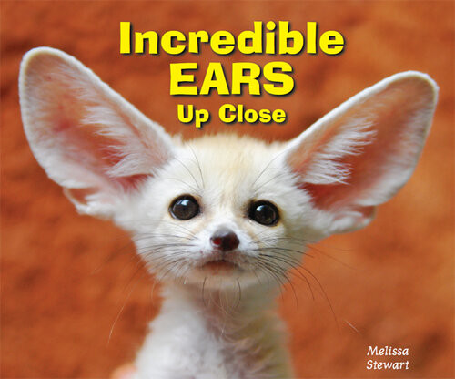Incredible Ears Up Close Melissa Stewart