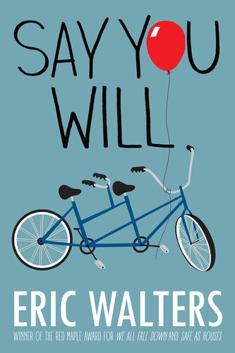 Say You Will Eric Walters