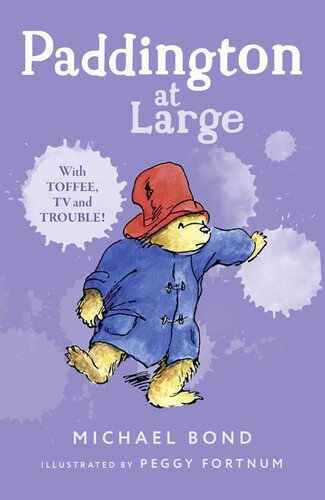 Paddington At Large Michael Bond