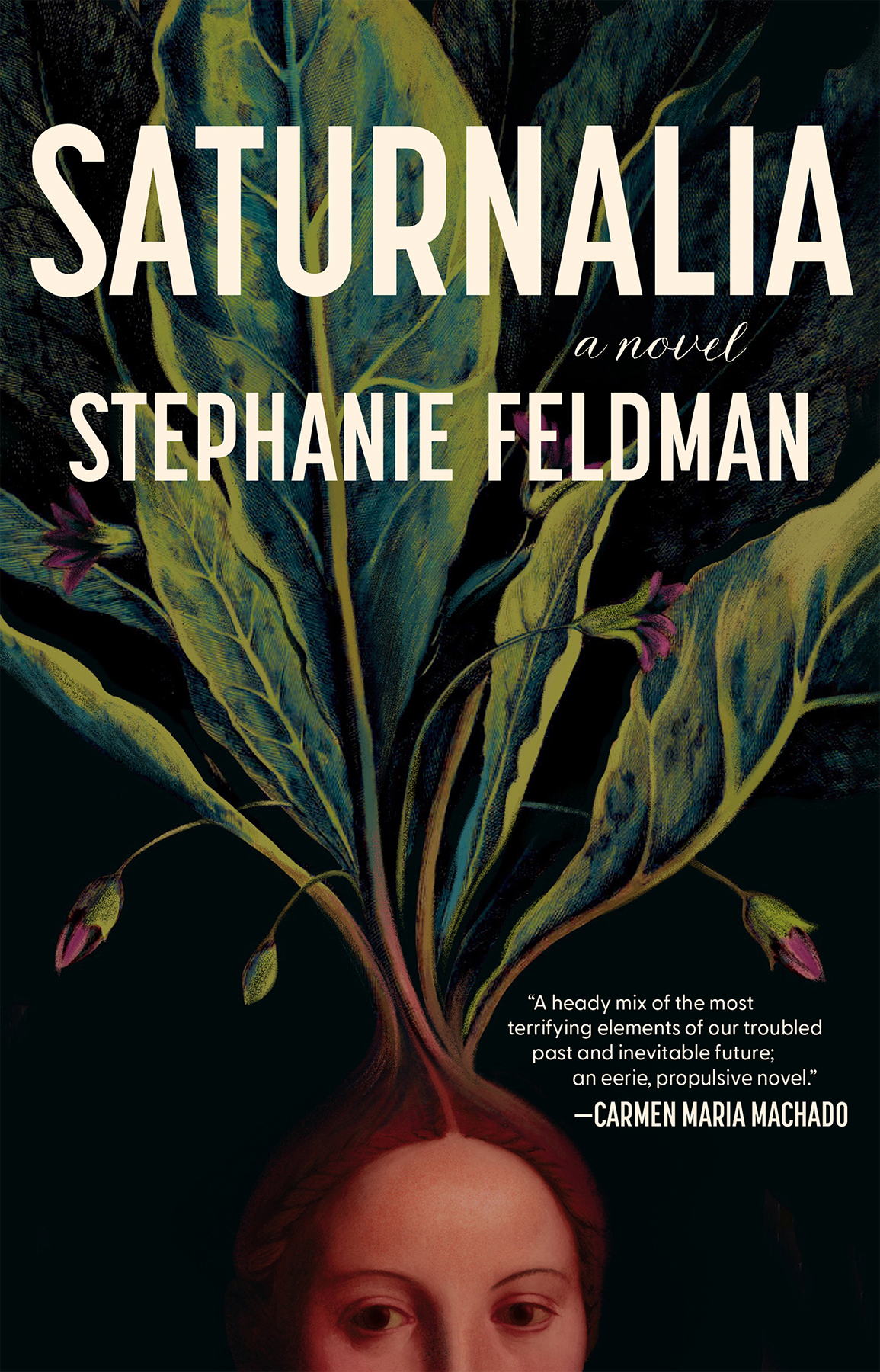 Saturnalia A Novel Stephanie Feldman
