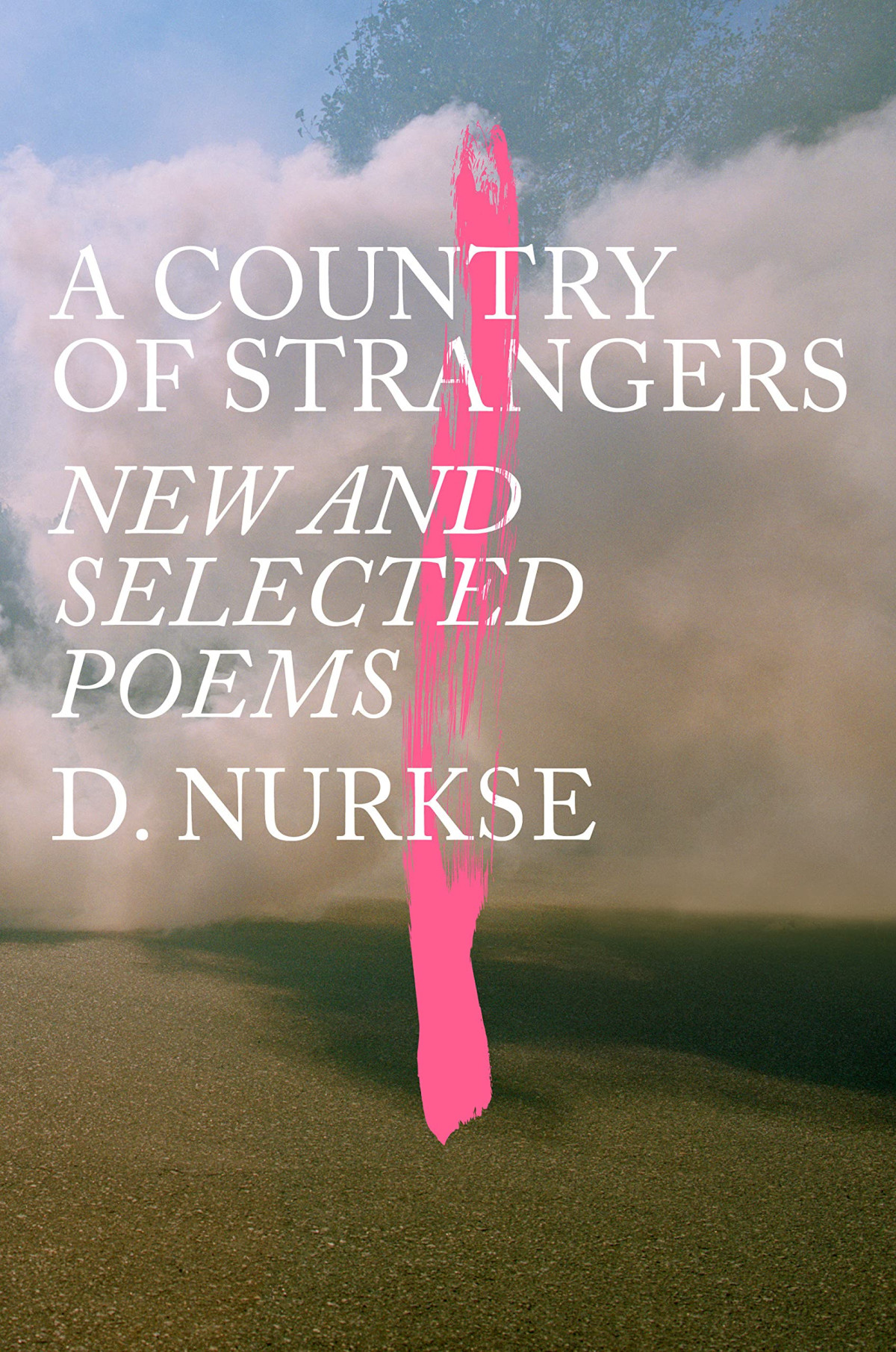 A Country Of Strangers D Nurkse