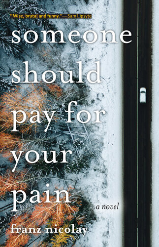 Someone Should Pay For Your Pain A Novel Franz Nicolay