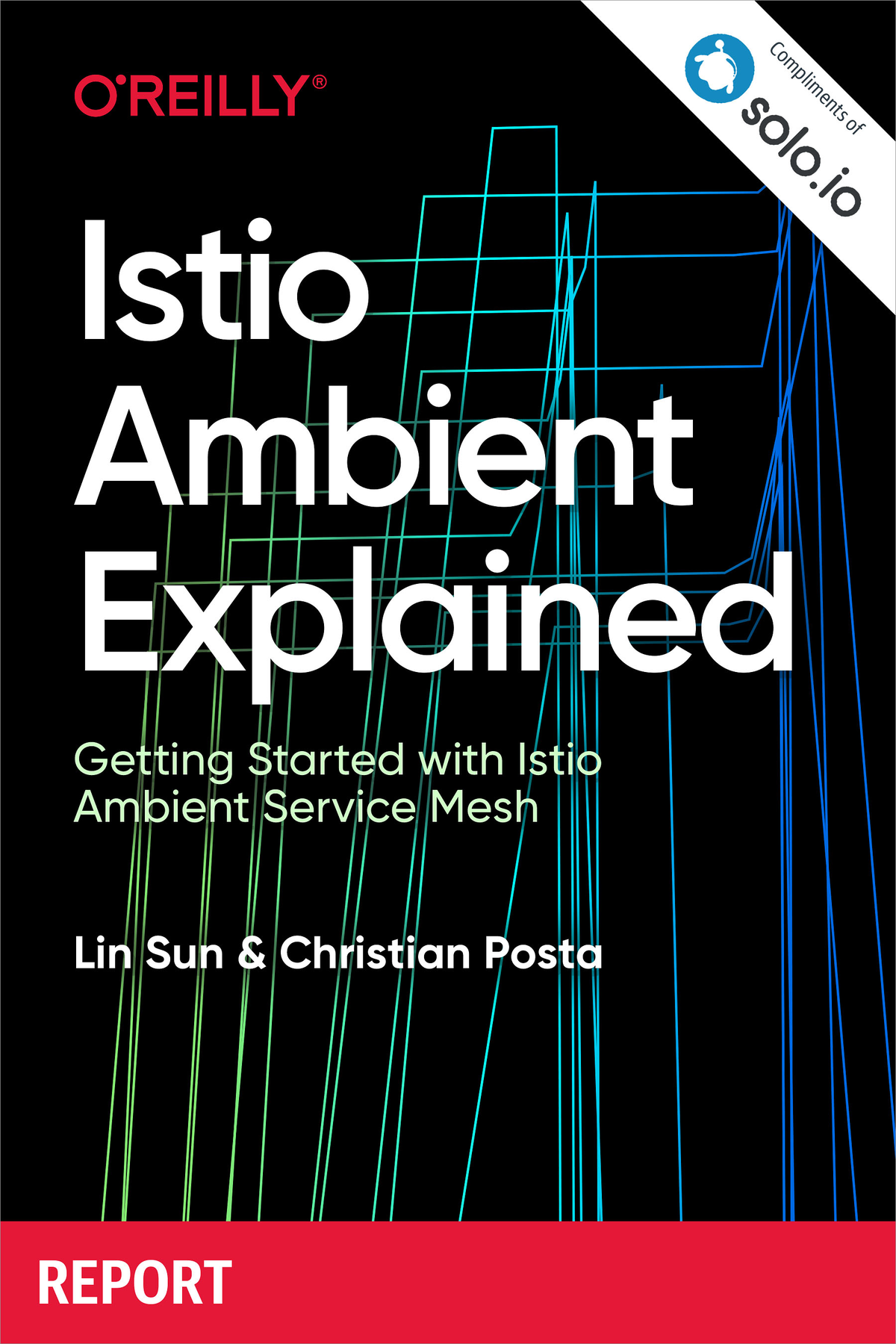 Istio Ambient Explained Lin Sun And Christian Posta