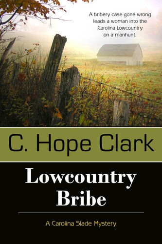 Lowcountry Bribe C Hope Clark
