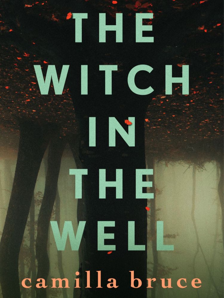 The Witch In The Well Bruce Camilla