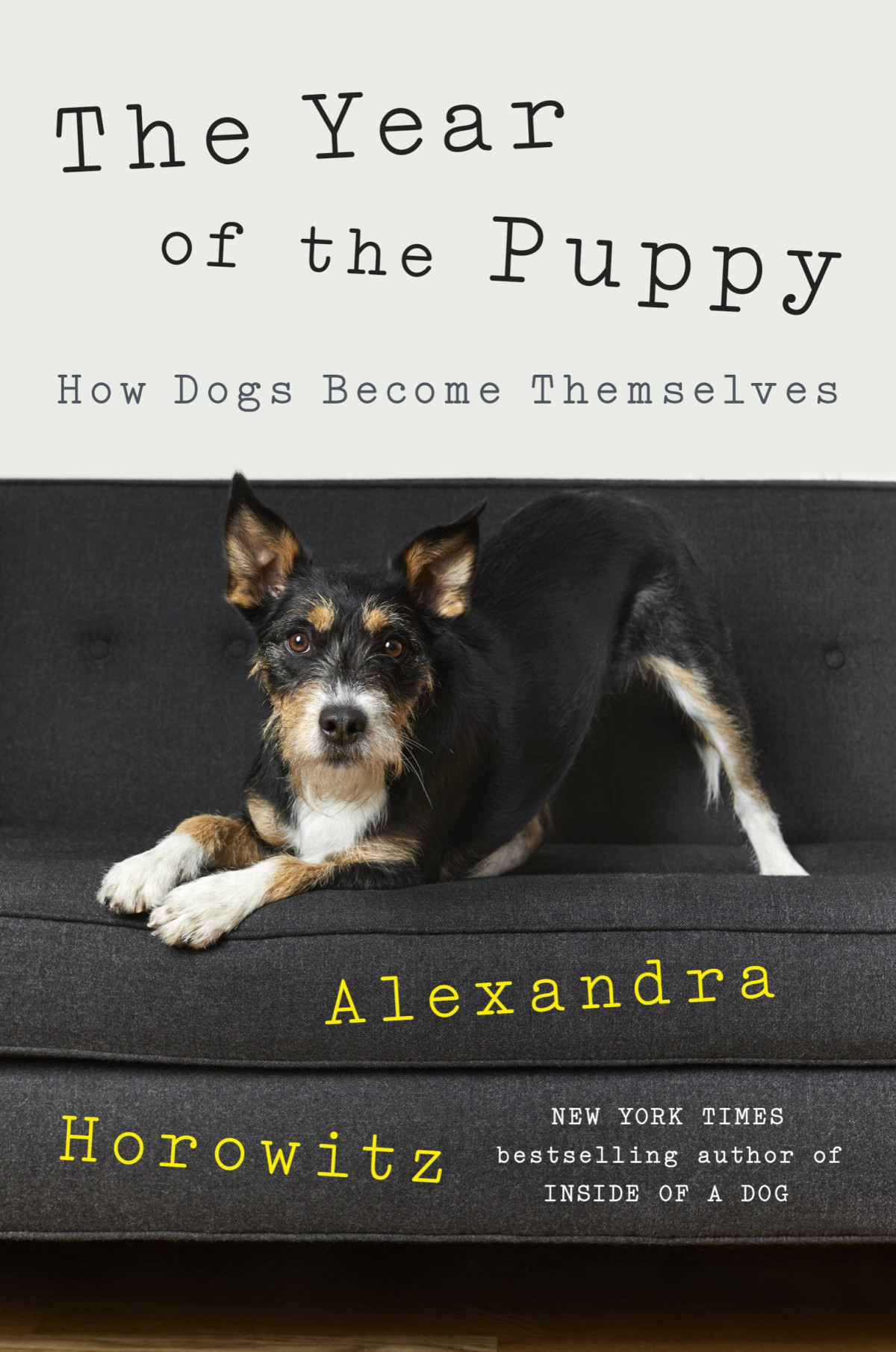 The Year Of The Puppy Alexandra Horowitz