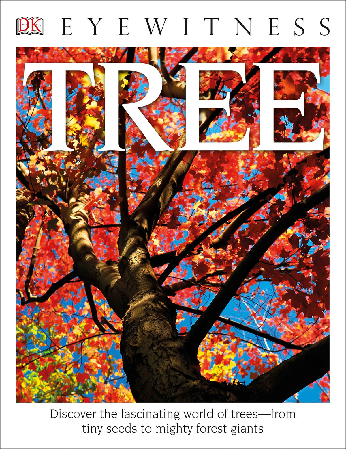 Dk Eyewitness Books Tree Discover The Fascinating World Of Trees From Tiny Seeds To Mighty Forest Giants Annotated David Burnie