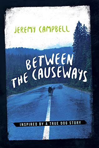 Between The Causeways Jeremy Campbell