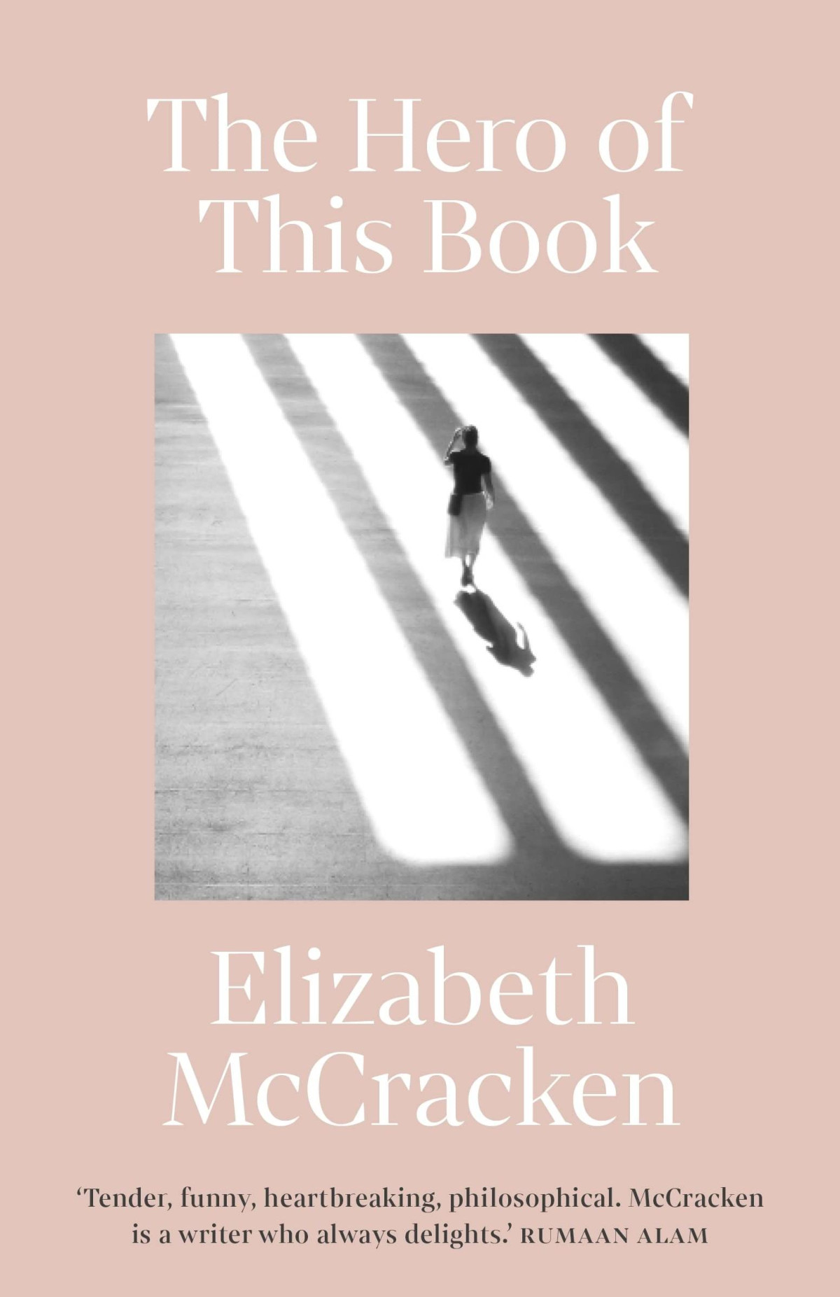 The Hero Of This Book Elizabeth Mccracken
