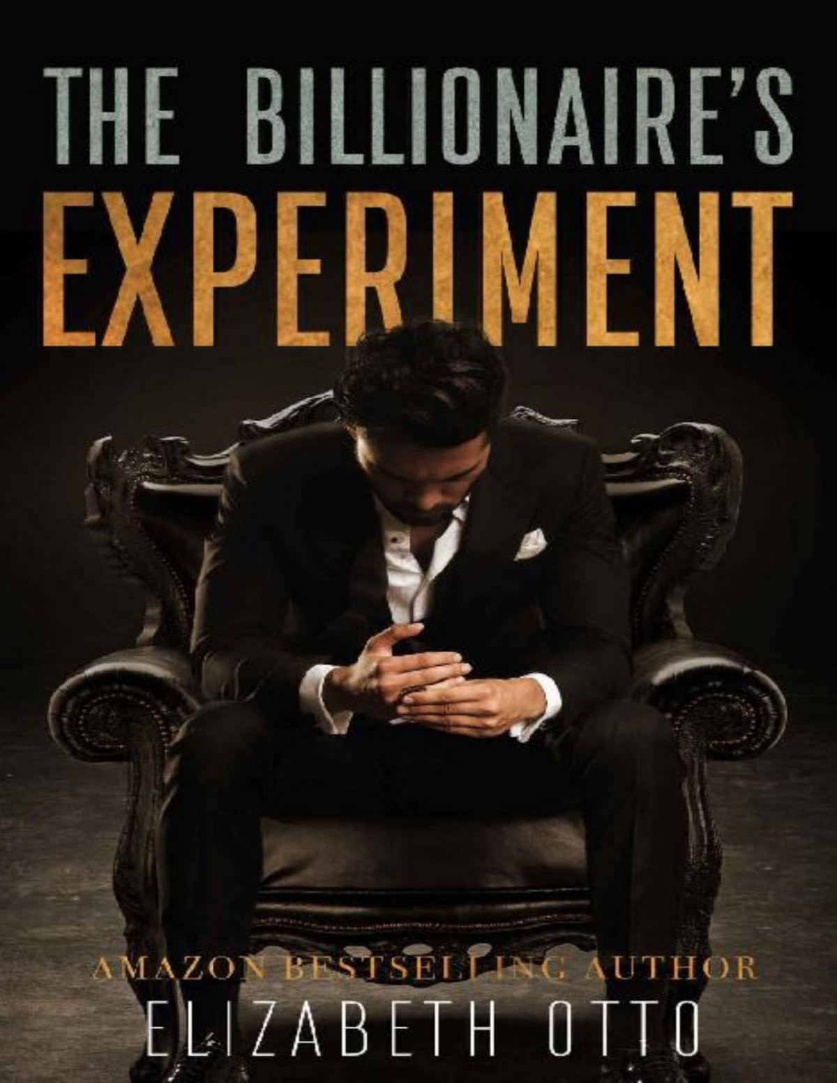 The Billionaires Experiment Elizabeth Otto