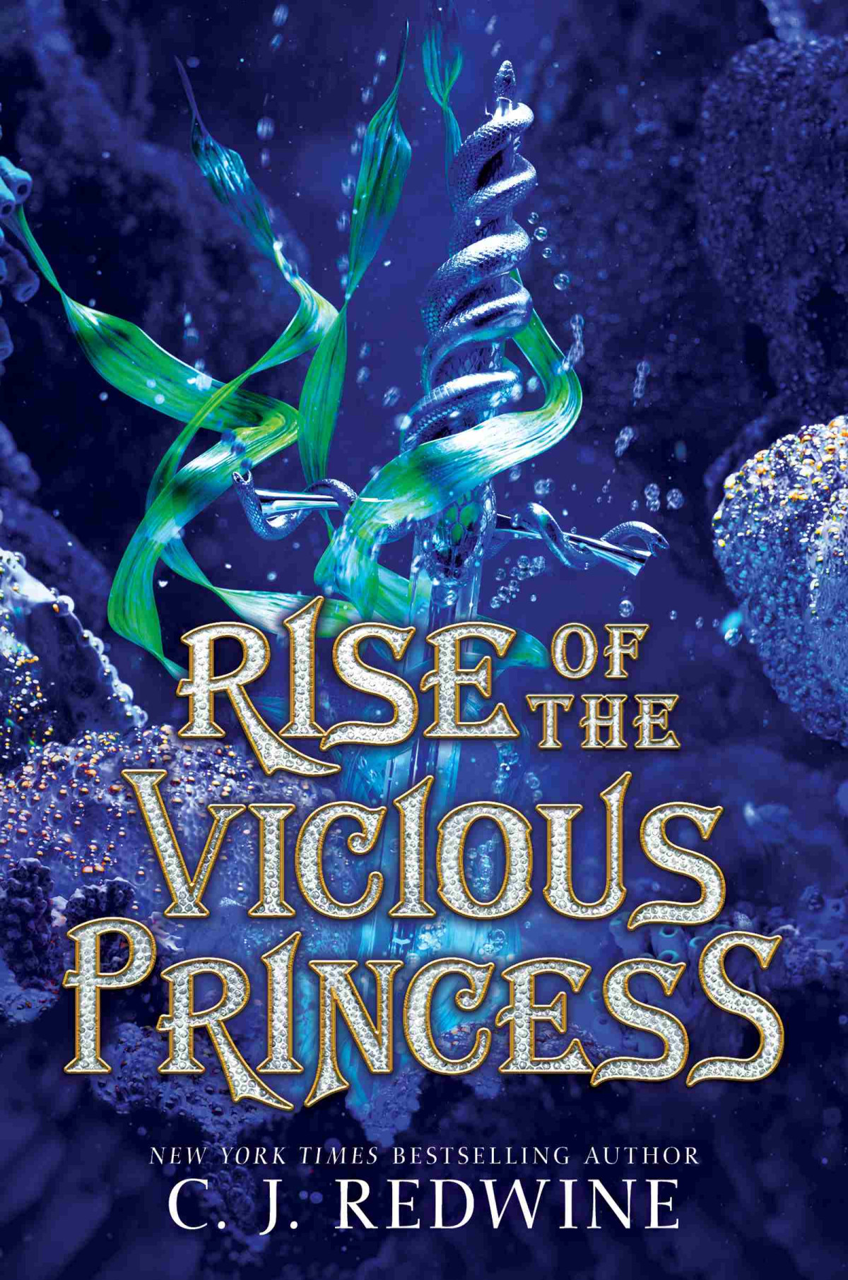 Rise Of The Vicious Princess C J Redwine