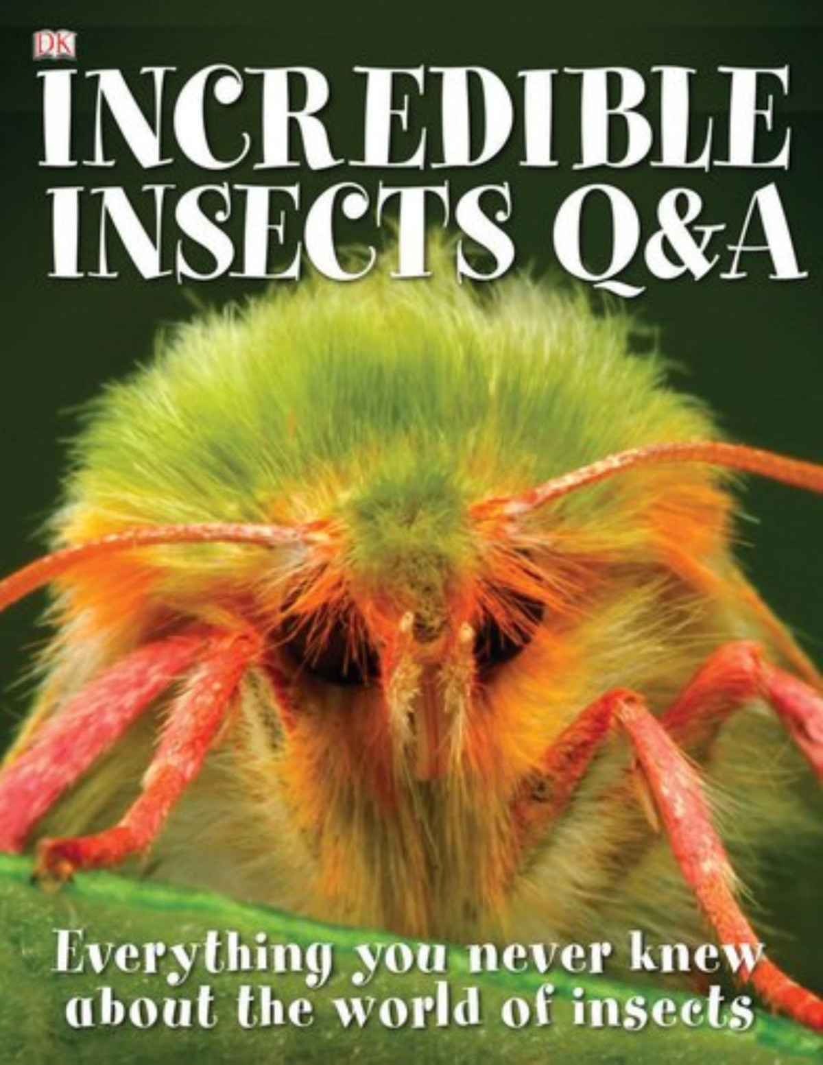 Incredible Insects Q And A Sally Tagholm Inc Dk Publishing