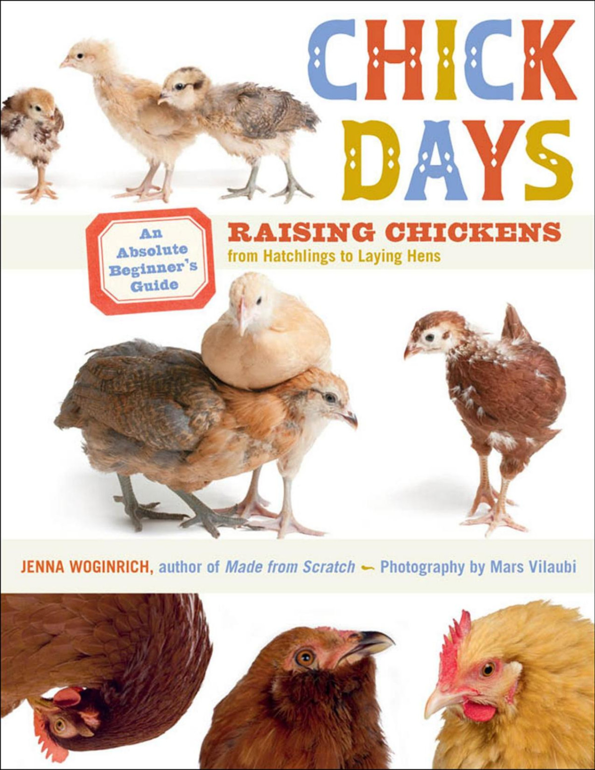 Chick Days Mars Vilaubi