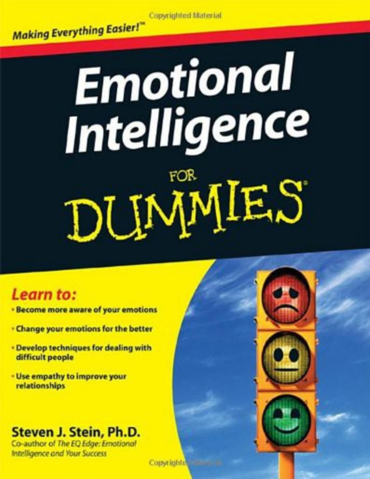 Emotional Intelligence For Dummies Steven J Stein