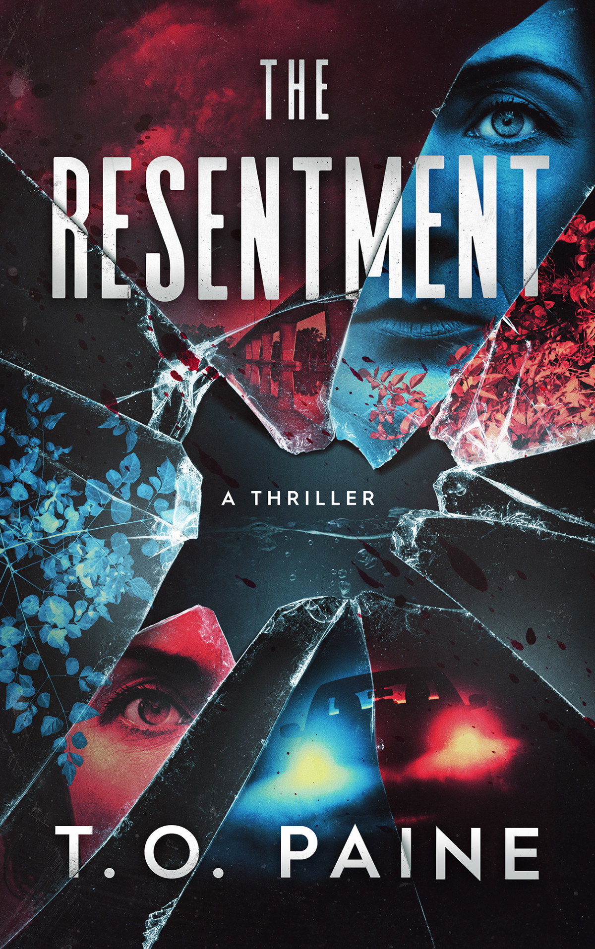 The Resentment T O Paine
