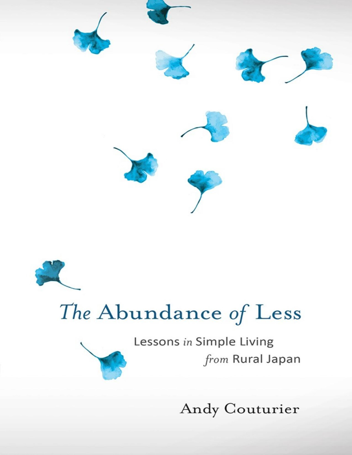 The Abundance Of Less Andy Couturier