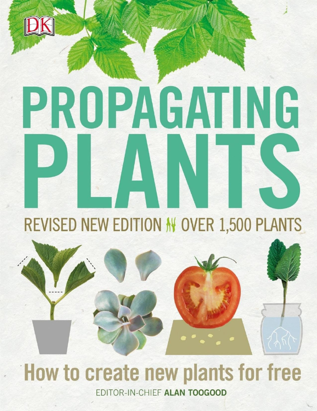 Propagating Plants How To Create New Plants For Free Alan Toogood