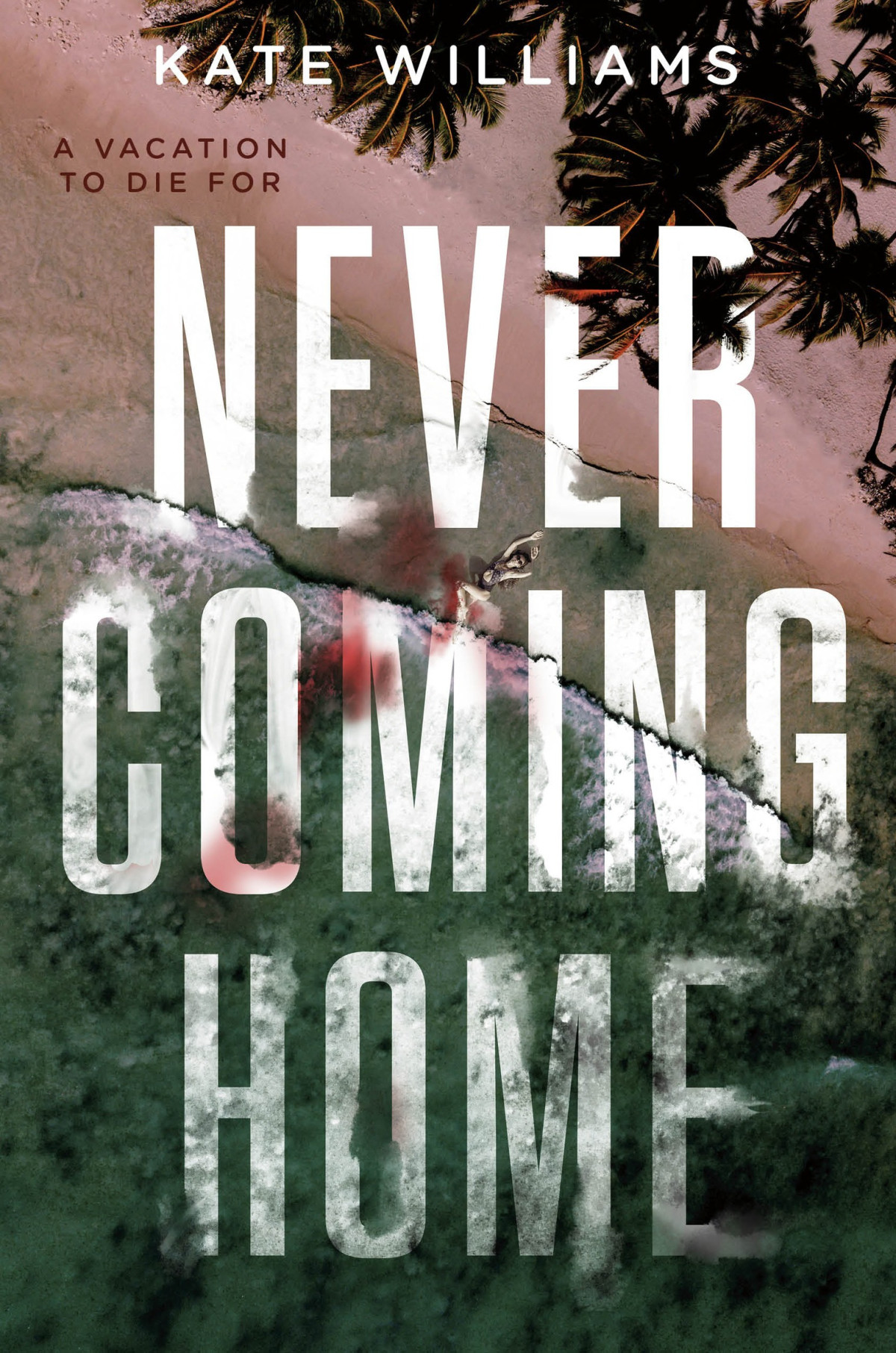 Never Coming Home Kate M Williams