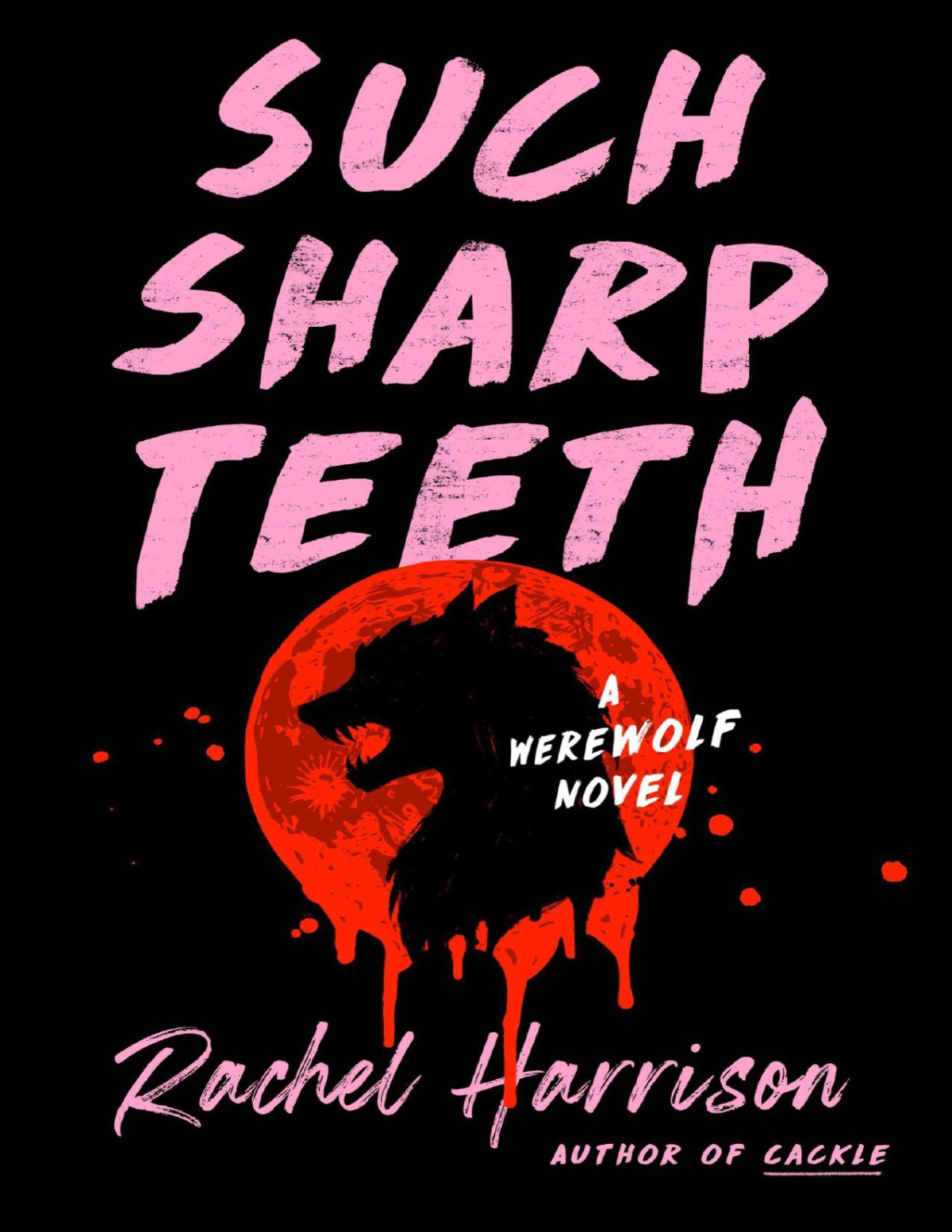 Such Sharp Teeth Rachel Harrison
