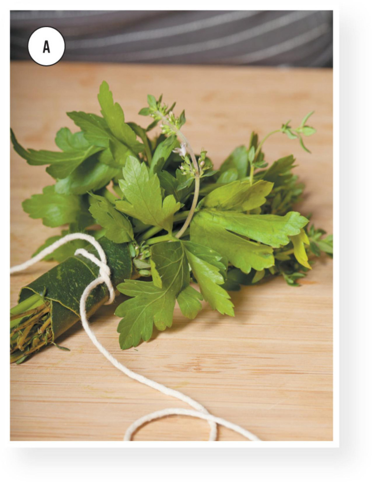 Homegrown Herb Garden Lisa Baker Morgan