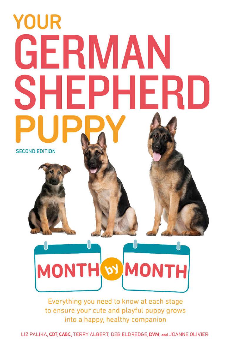 Your German Shepherd Puppy Month By Month 2nd Edition Liz Palika Terry Albert Debra Eldredge Joanne Olivier