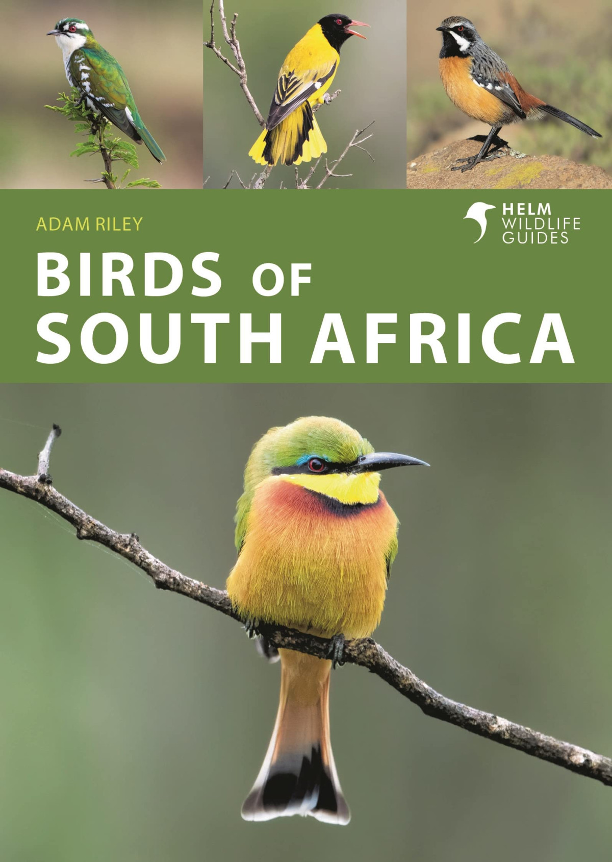 Birds Of South Africa Adam Riley