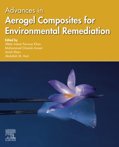 Advances In Aerogel Composites For Environmental Remediation 1st Edition Aftab Aslam Parwaz Khan Editor