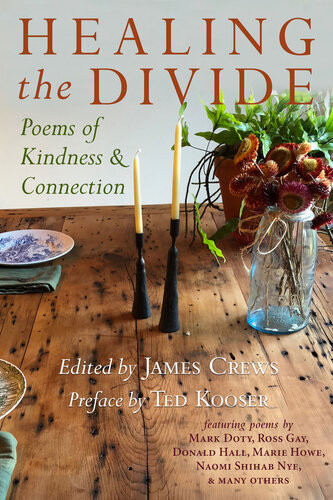 Healing The Divide James Crews