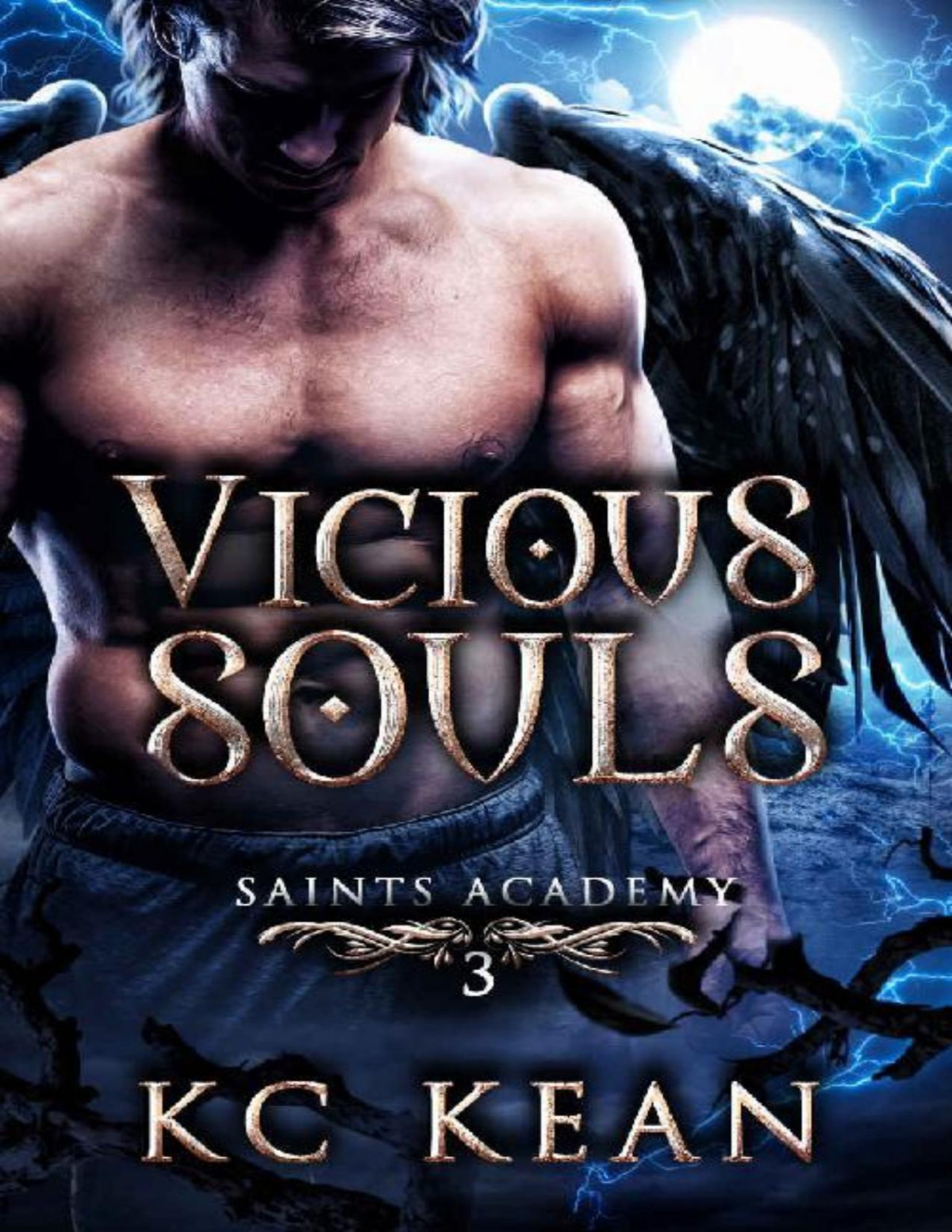 Vicious Souls Saints Academy Book 3 Kc Kean