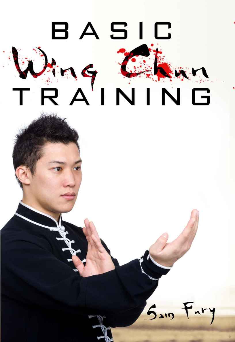 Basic Wing Chun Training Wing Chun Kung Fu Training For Street Fighting And Self Defense Sam Fury