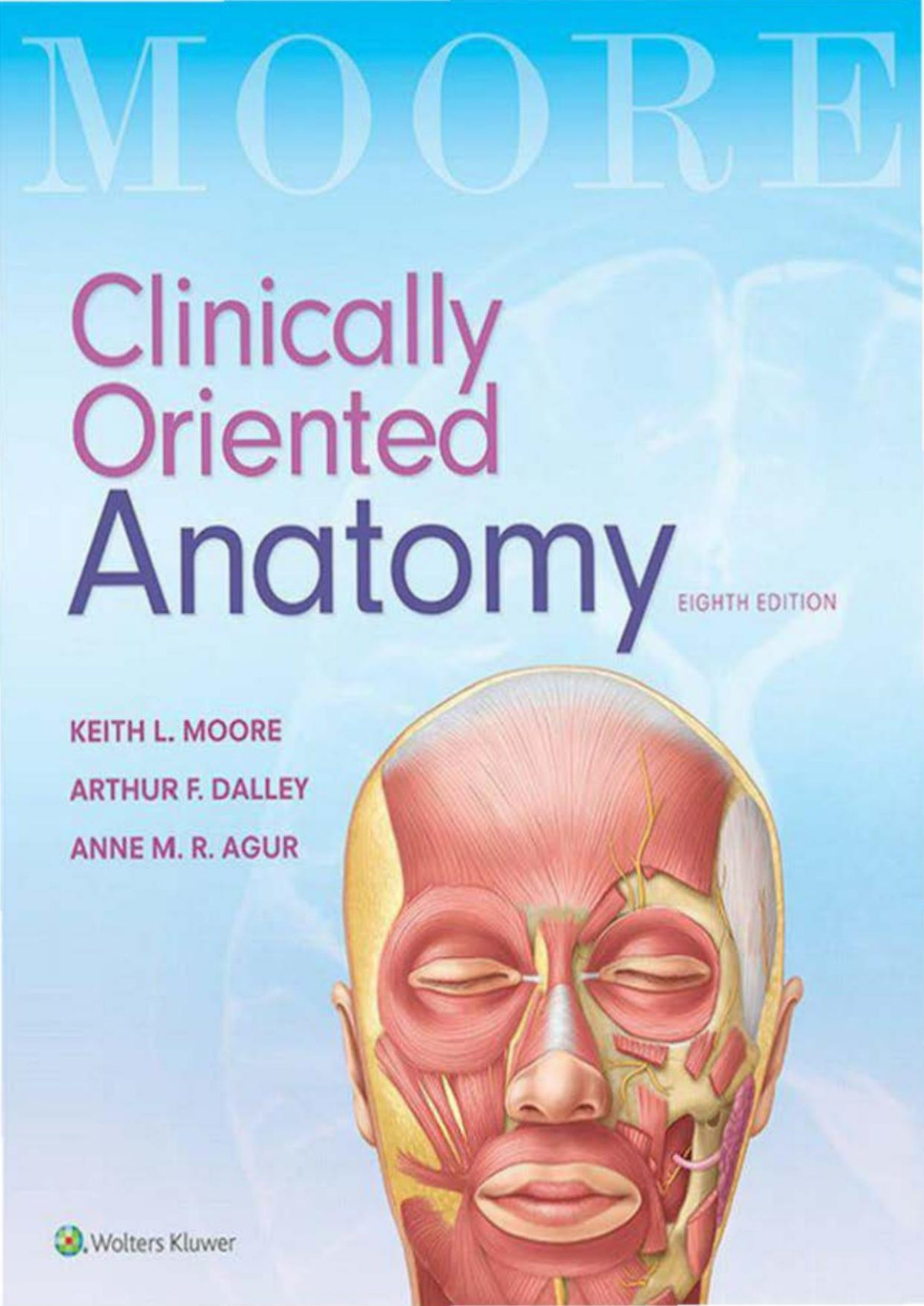 Clinically Oriented Anatomy 8th Ed 8th Edition Keith L Moore