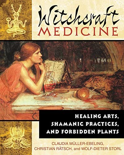 Witchcraft Medicine Claudia Mllerebeling Christian Rtsch