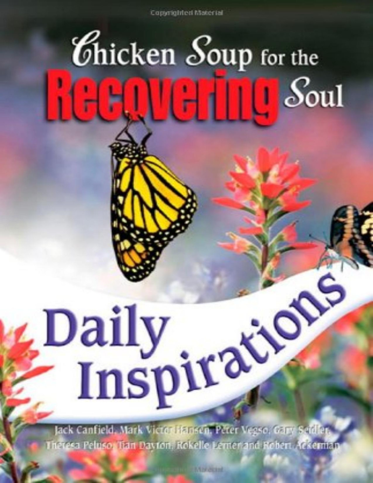 Chicken Soup For The Recovering Soul Daily Inspirations Jack Canfield Mark Victor Hansen Peter Vegso Gary Seidler Theresa Peluso Tian Dayton Phd Rokelle Lerner Robert Ackerman