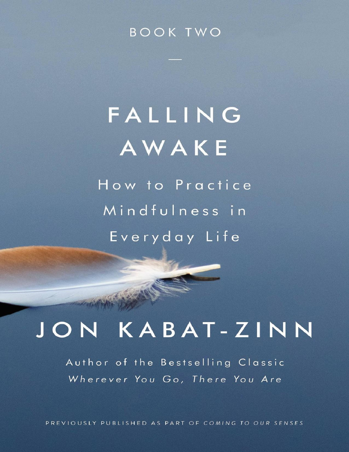Falling Awake How To Practice Mindfulness In Everyday Life Jon Kabatzinn
