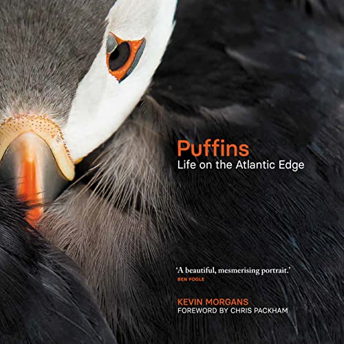 Puffins Life On The Atlantic Edge Kevin Morgans