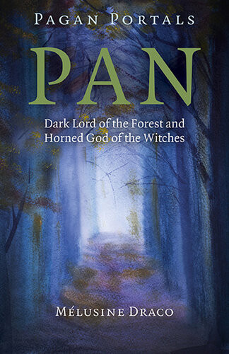 Pagan Portals Pan Dark Lord Of The Forest And Horned God Of The Witches Melusine Draco