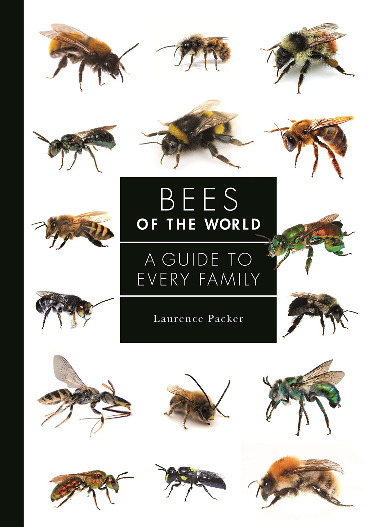 Bees Of The World Laurence Packer
