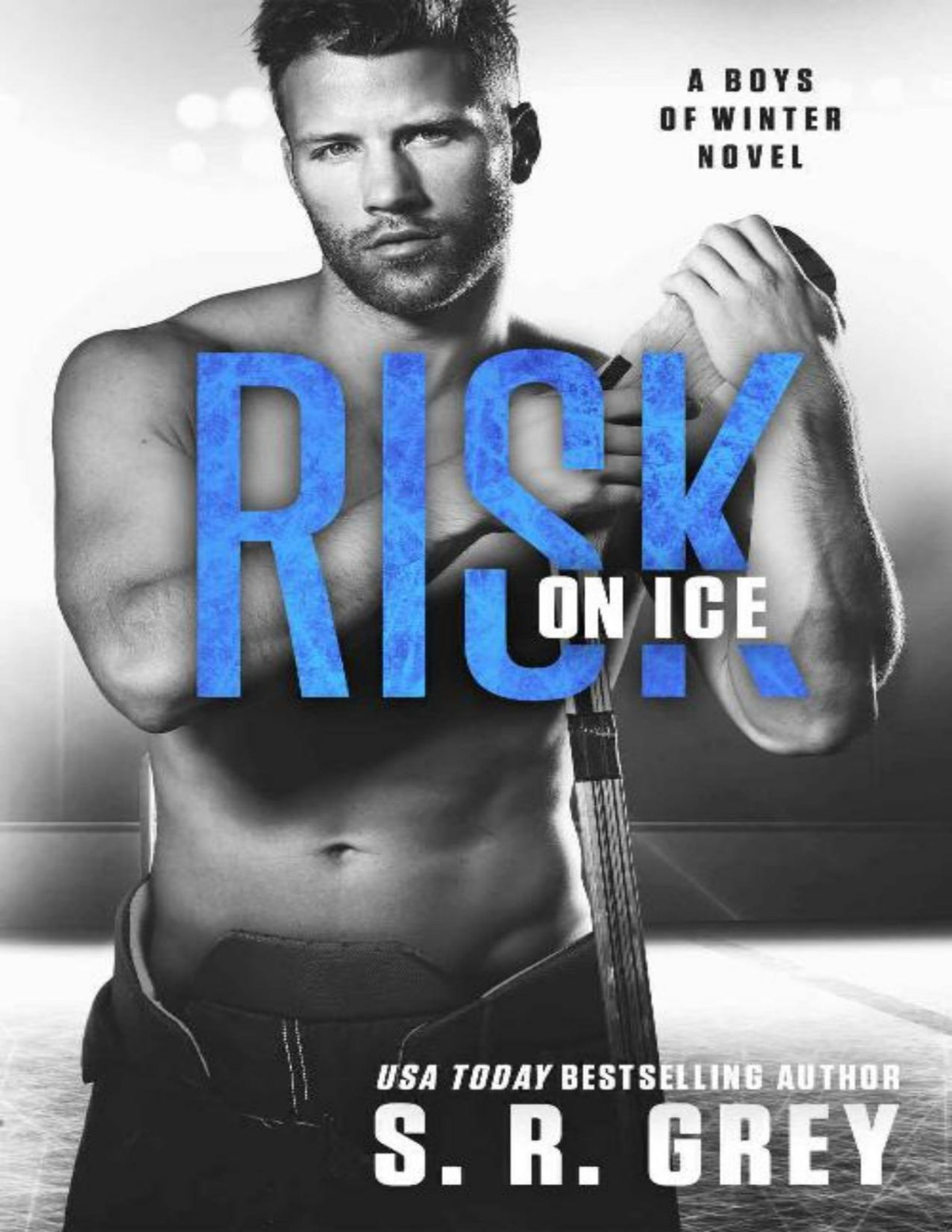 Risk On Ice Sr Grey