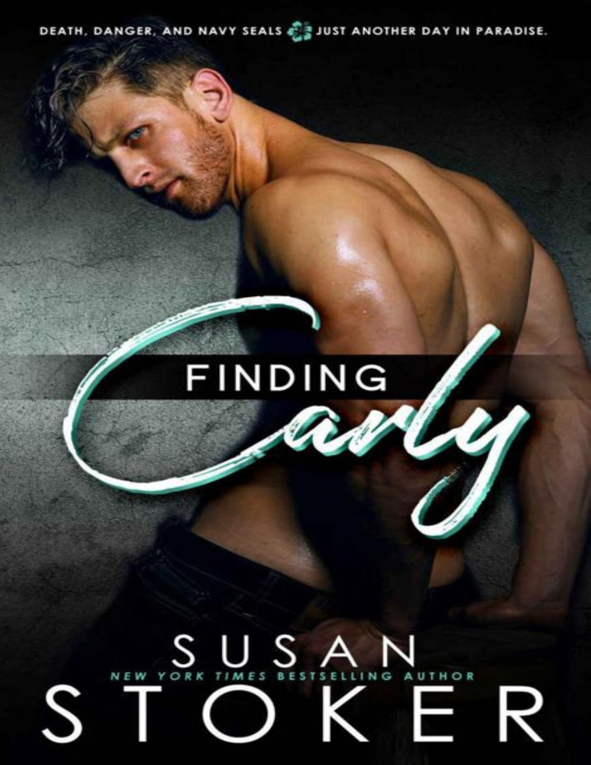 Finding Carly Susan Stoker