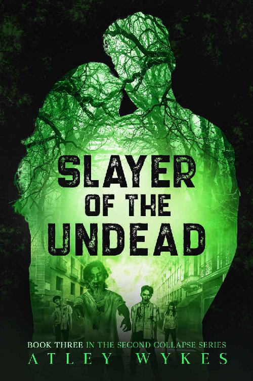 Slayer Of The Undead A Steamy Scifi Apocalypse Romance The Second Collapse Series Book 3 Atley Wykes