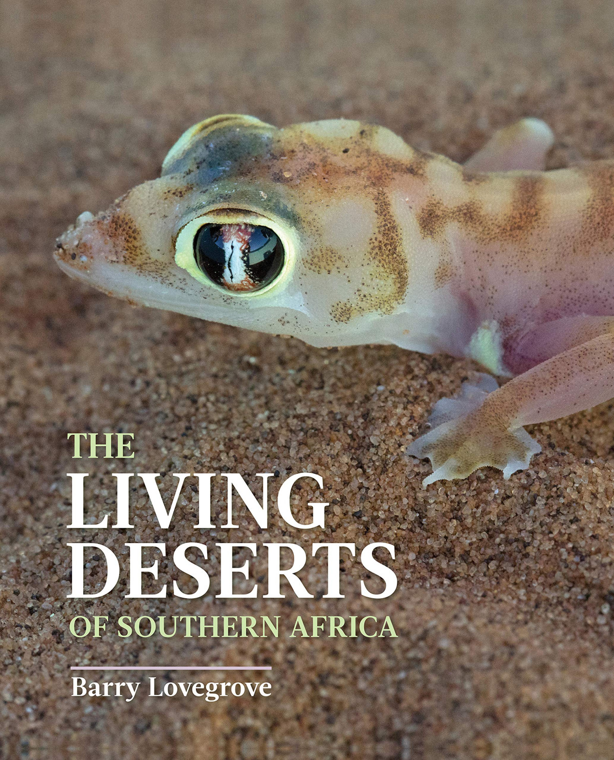 The Living Deserts Of Southern Africa 2nd Edition Barry Lovegrove