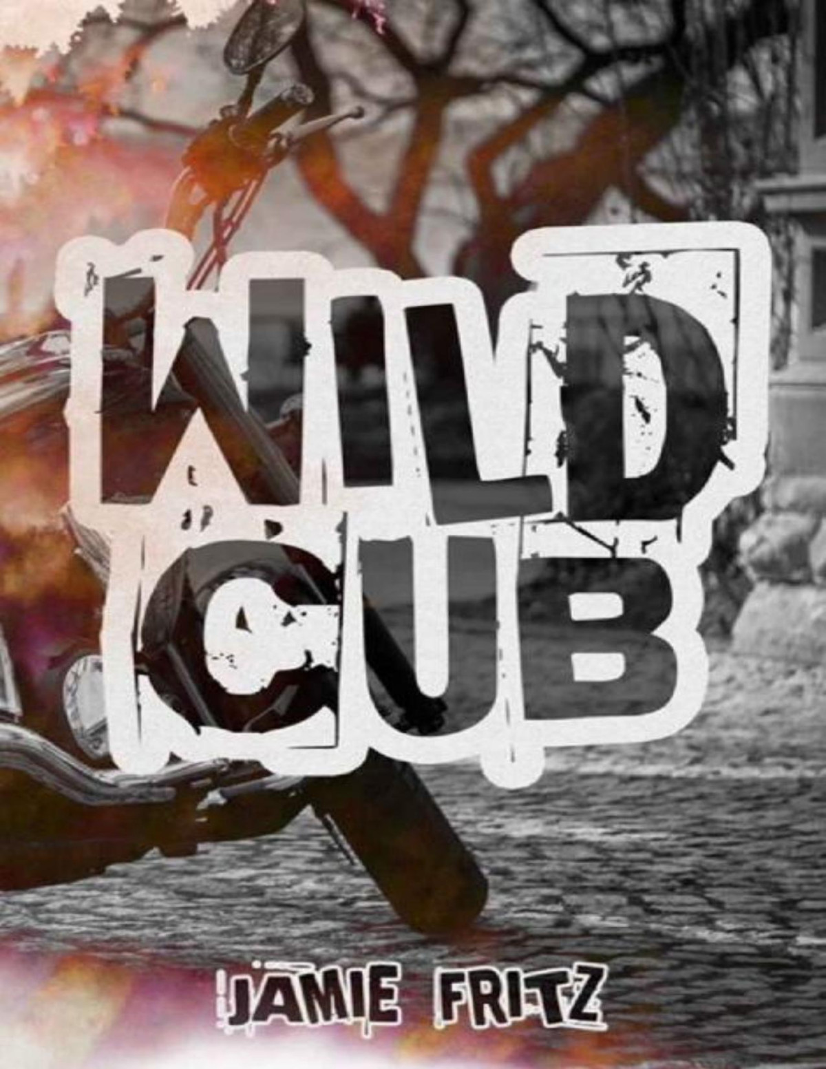 Wild Cub Grim Wolves Mc Book 1 Jamie Fritz