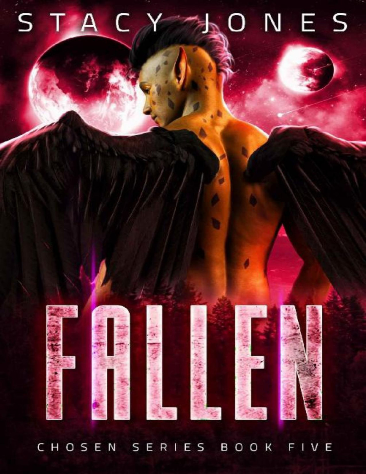 Fallen Chosen Series Book 5 Stacy Jones